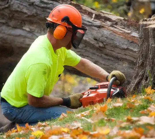 tree services Green Island